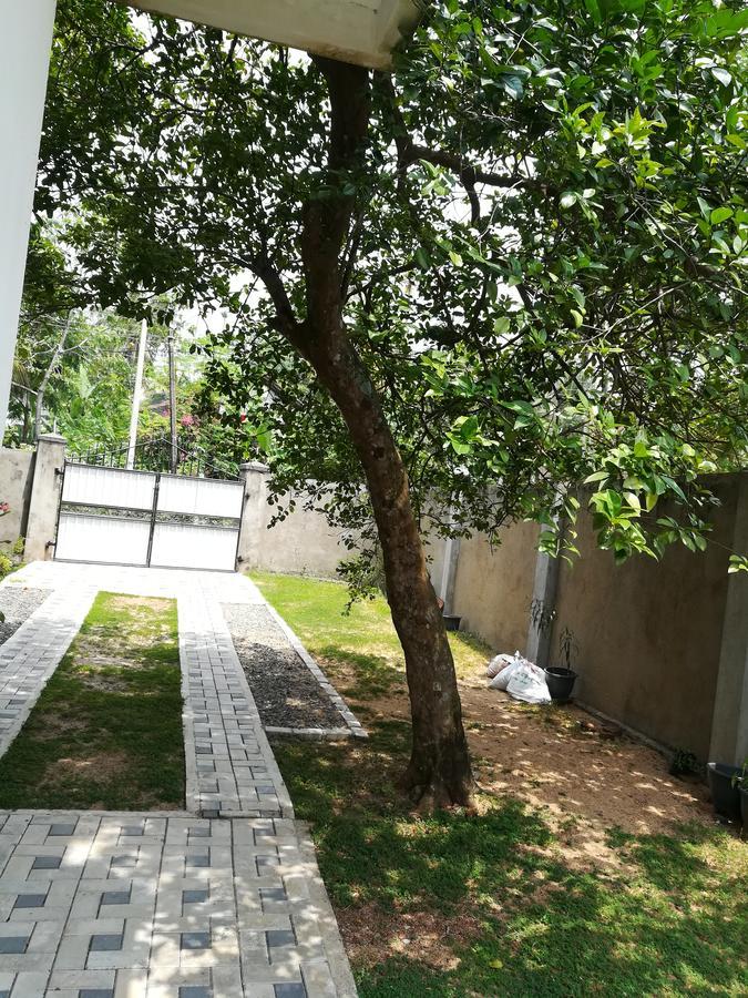 Sea Breeze Hotel Bentota Kültér fotó